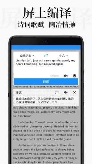 
DB翻译