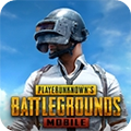 pubg国际服 官方正版下载入口最新版本