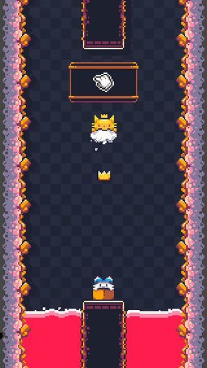 
猫猫冲撞