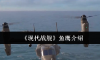 《现代战舰》鱼鹰介绍