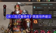 《新三国志曹操传》黄盖培养建议