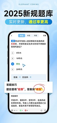 
大象驾到Pro