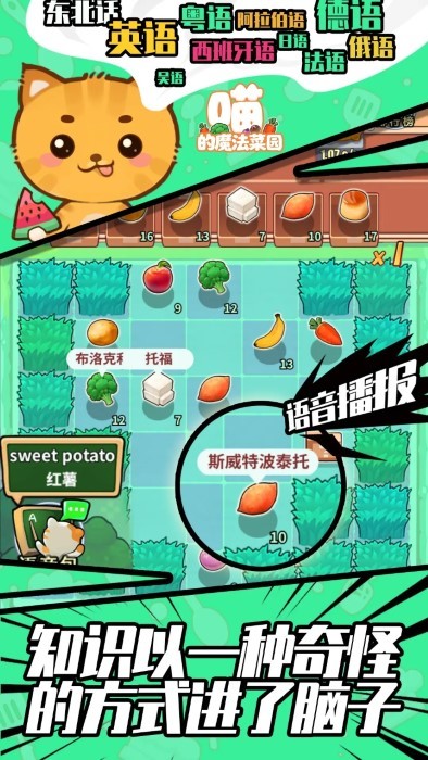 
喵的魔法菜园