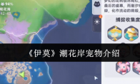 《伊莫》潮花岸宠物介绍