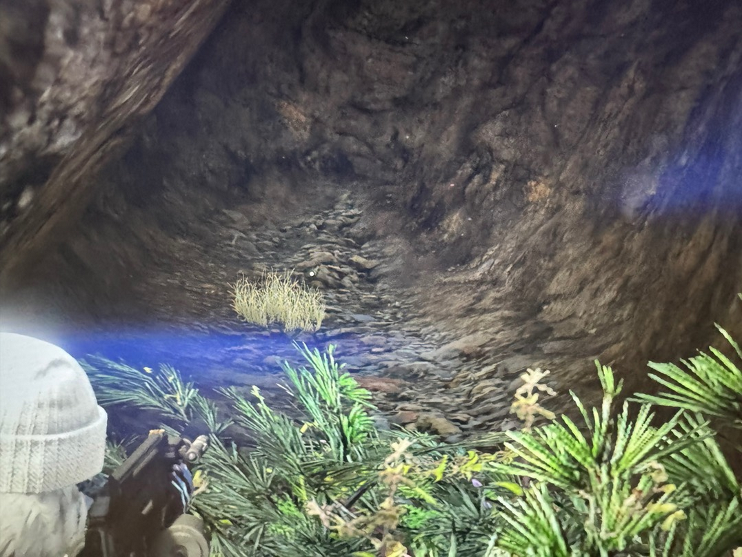 《GTAOL》黄金左轮手枪获得方法介绍