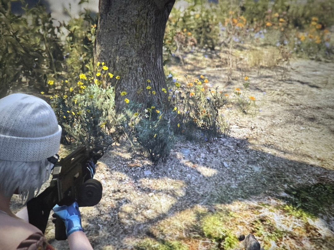 《GTAOL》黄金左轮手枪获得方法介绍