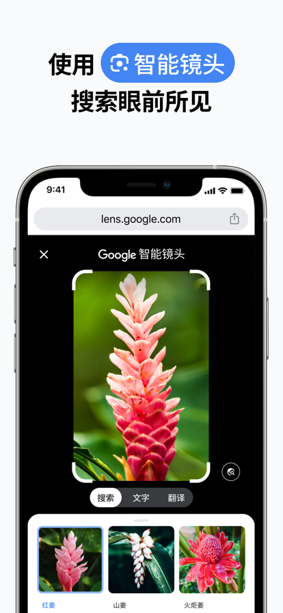 
谷歌浏览器 免费下载2025最新版