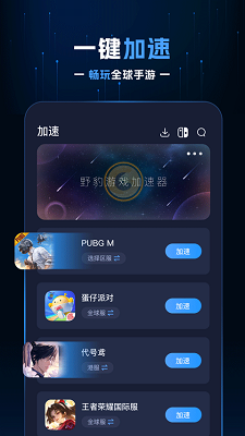 
野豹加速器 官网版