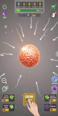 
人类进化史 无广告版