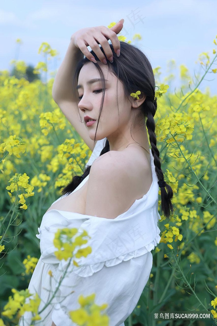 1804490.jpg