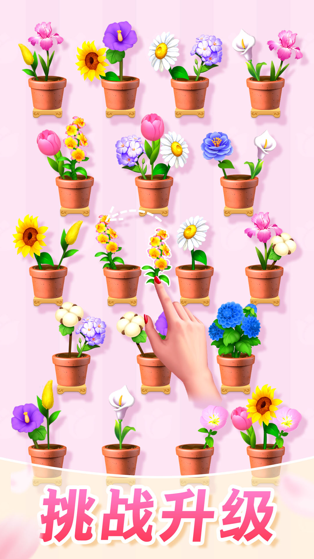 
插花消除