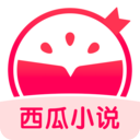 西瓜小说 免费阅读