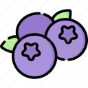 蓝莓音乐 app官方最新版