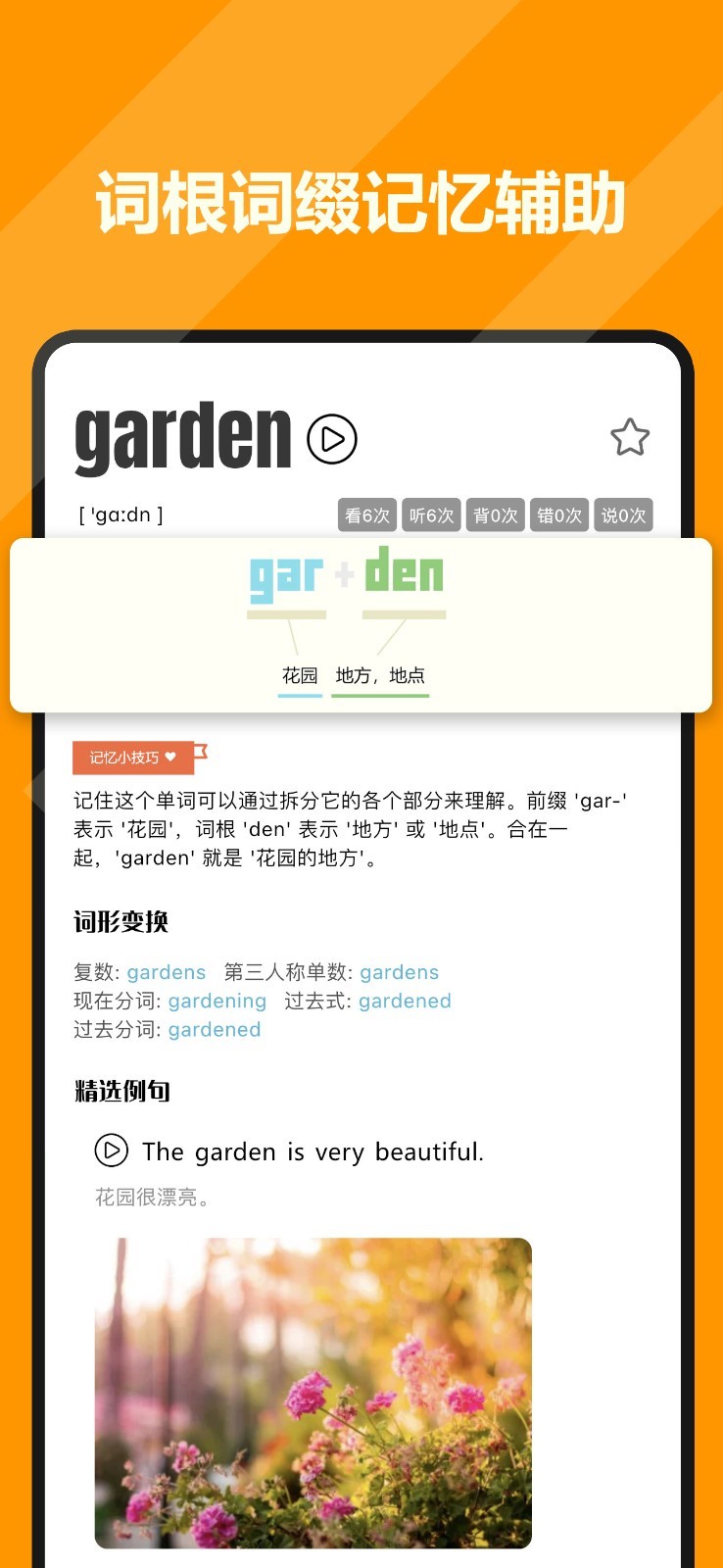 
干词app