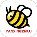 研学网app