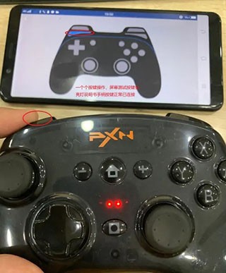 
小鸡模拟器免费版