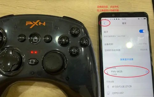 
小鸡模拟器免费版
