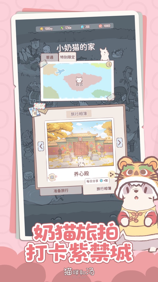 
猫咪和汤