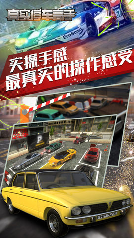 
真实停车高手 中文版