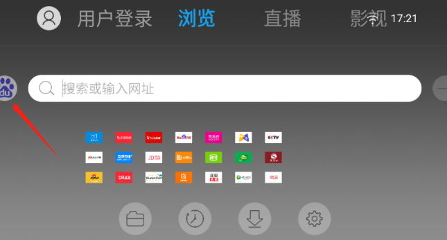 飞视浏览器领先版
