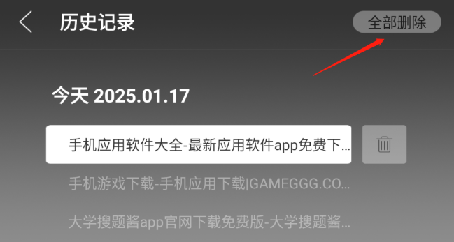 
飞视浏览器领先版