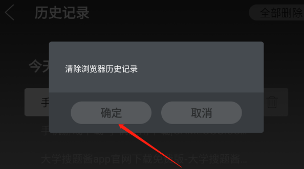 
飞视浏览器领先版