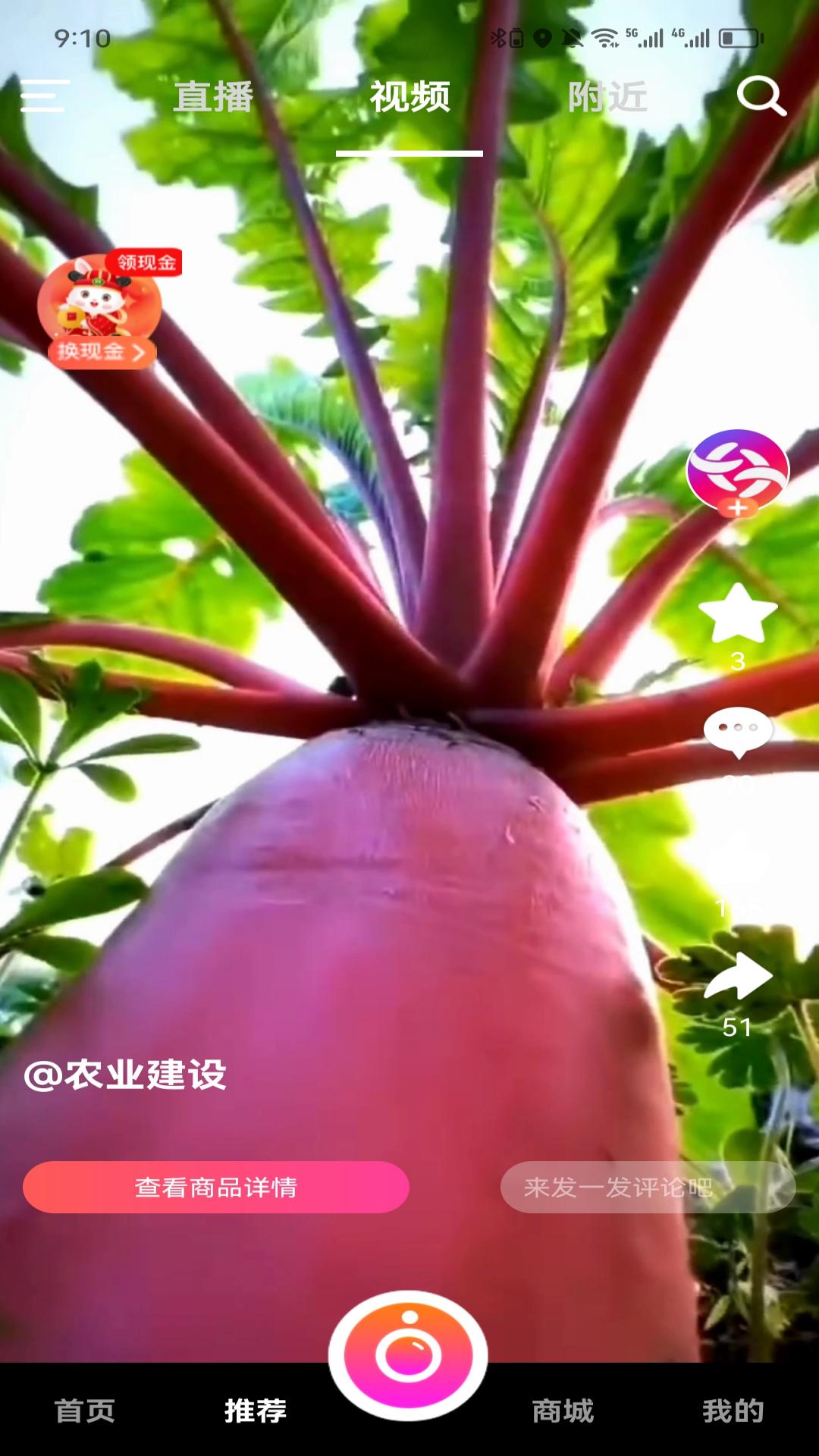 
米蕉点视app