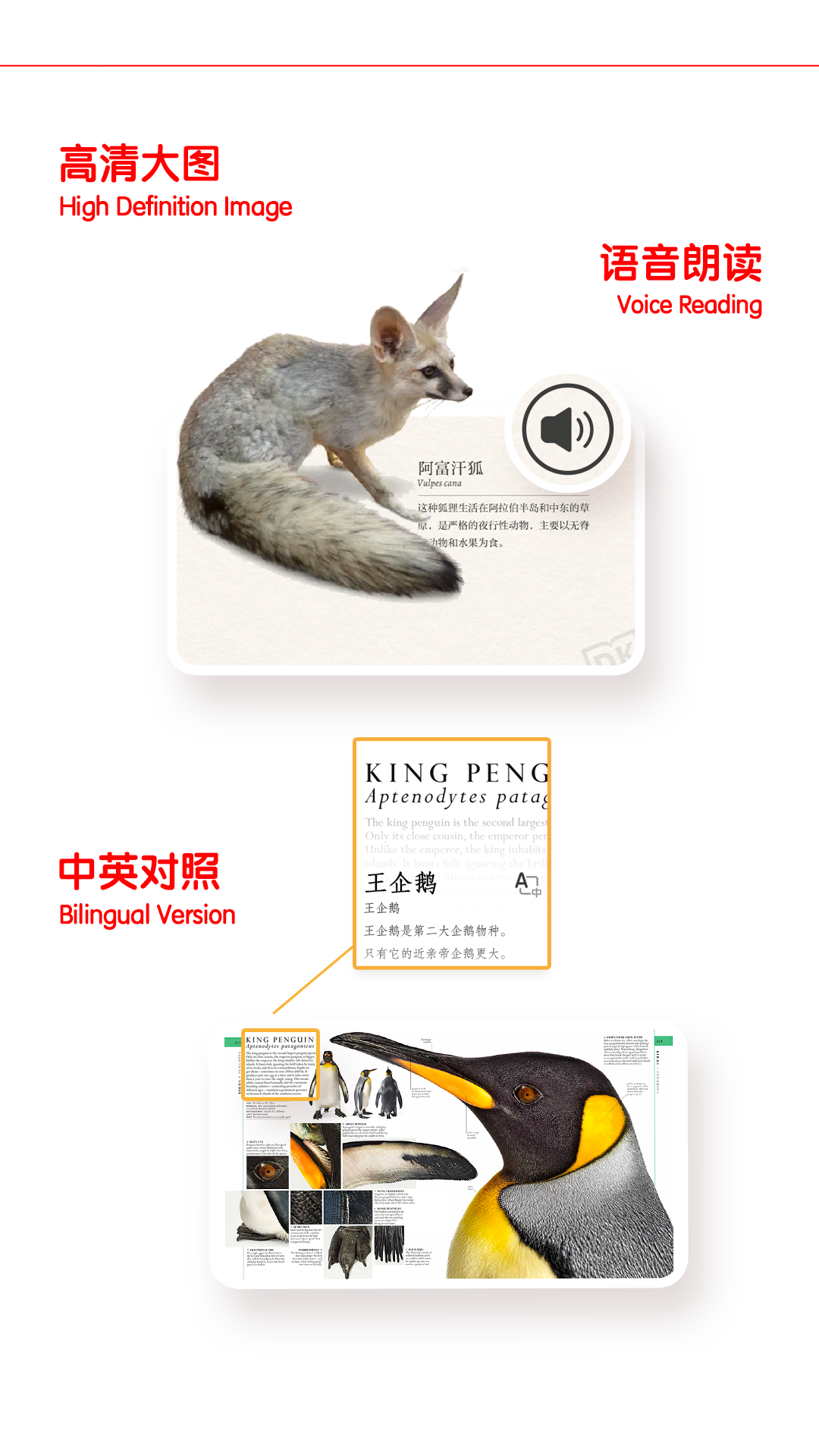 
千奇百科岛
