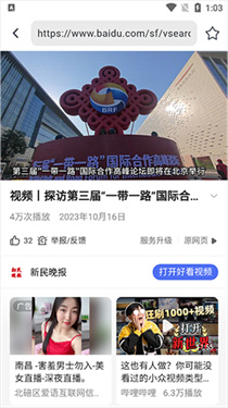 熊猫浏览器升级版