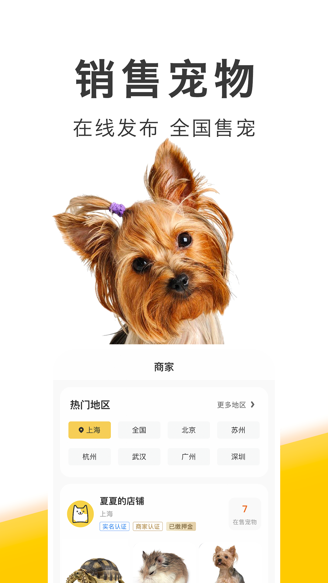 
买只宠物app