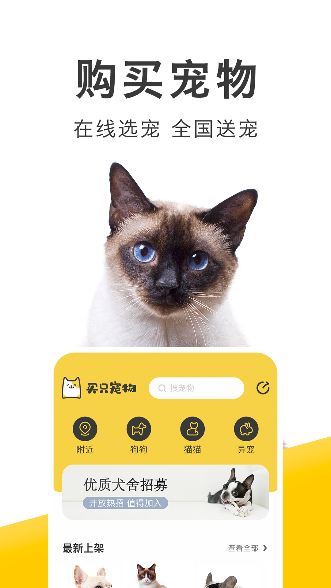 
买只宠物app