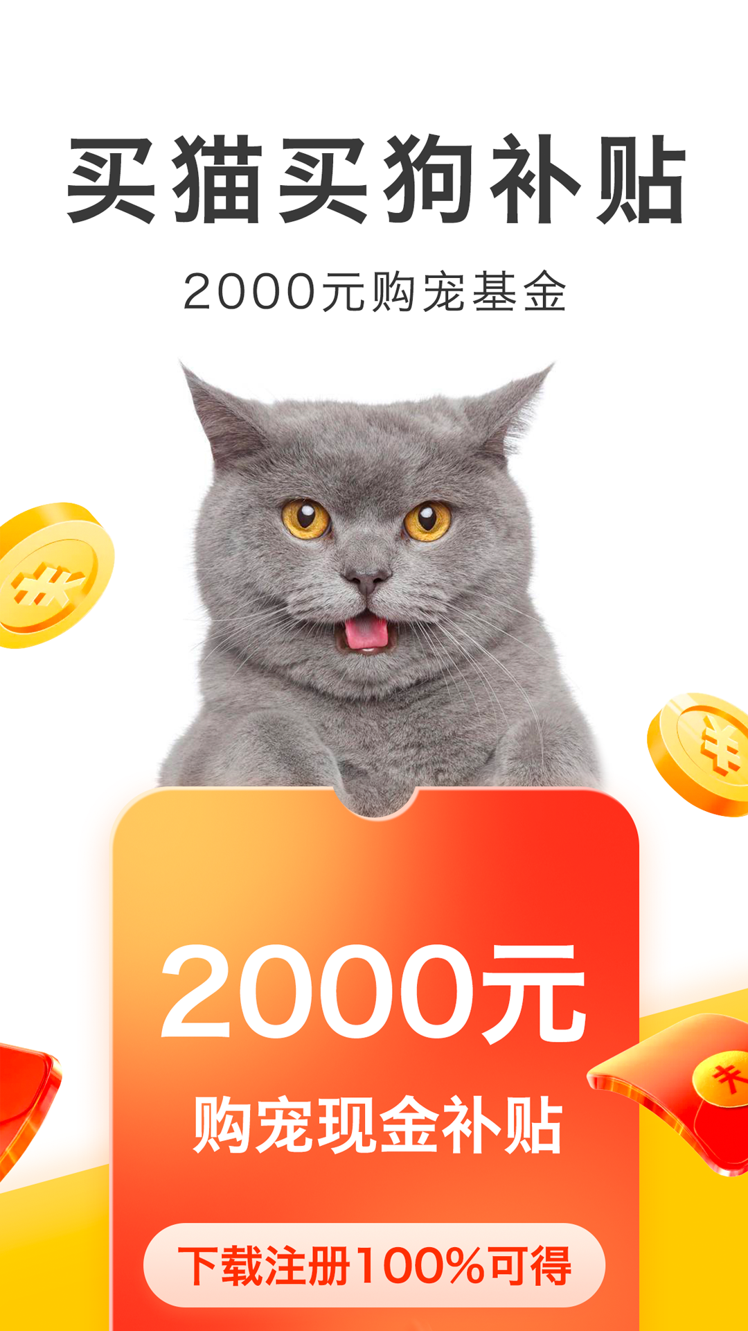 
买只宠物app
