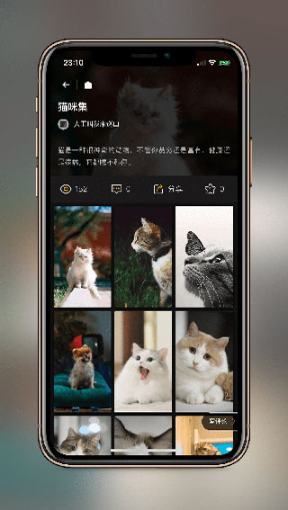 
纸塘壁纸 无限制