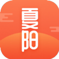 夏阳小说 全集完整版