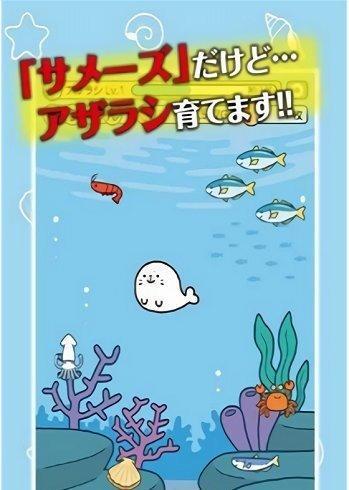 海豹养成