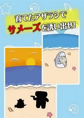 海豹养成