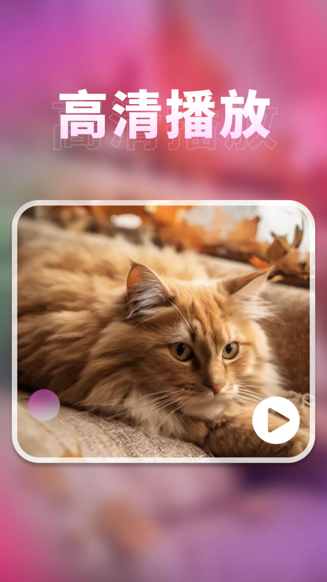 
密影速播播放器