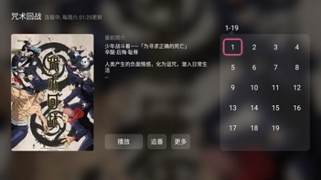 
哔哩哔哩 第三方TV版