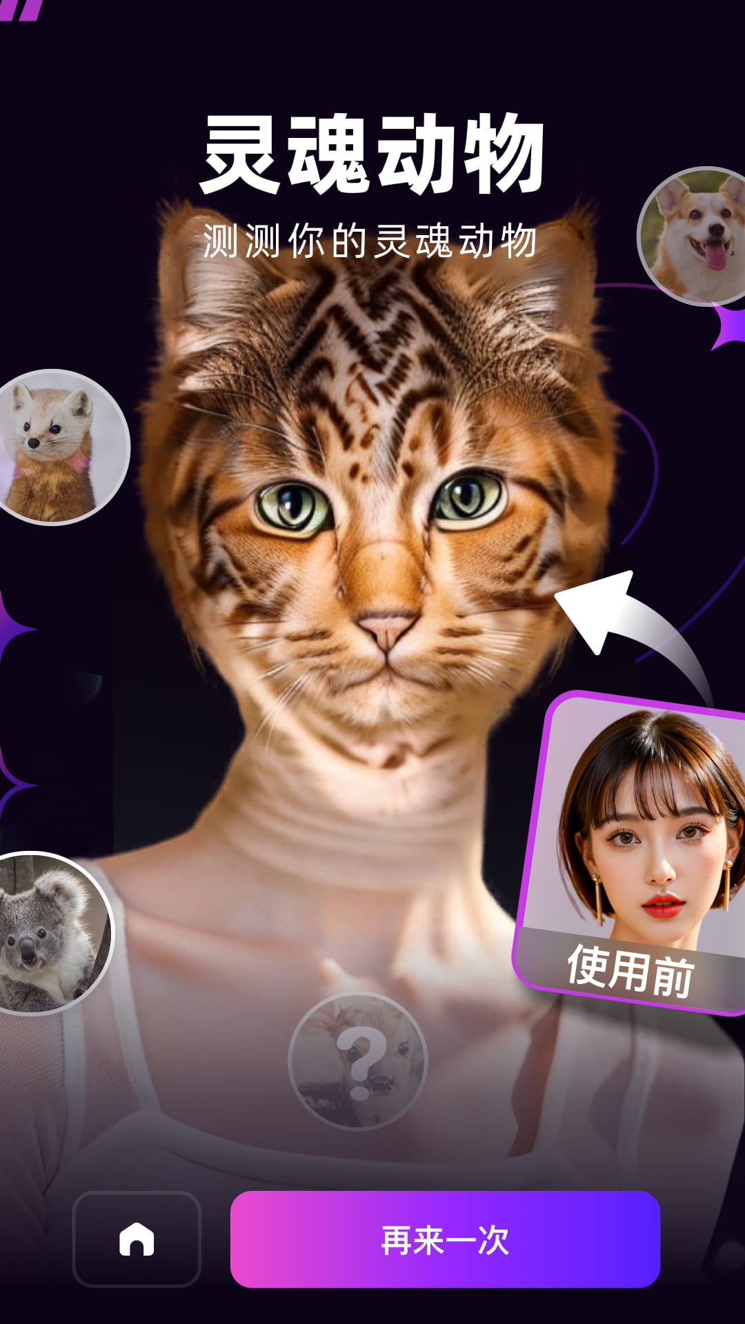 
泡福app