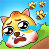 救救狗狗 免登录版
