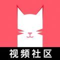 猫咪app 3.0版