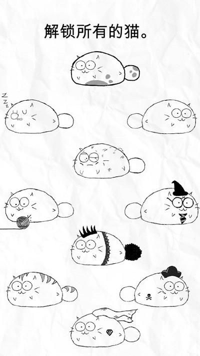 
fatty cat