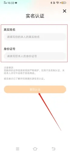 随乐游