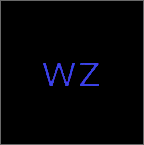 wz定制弱网