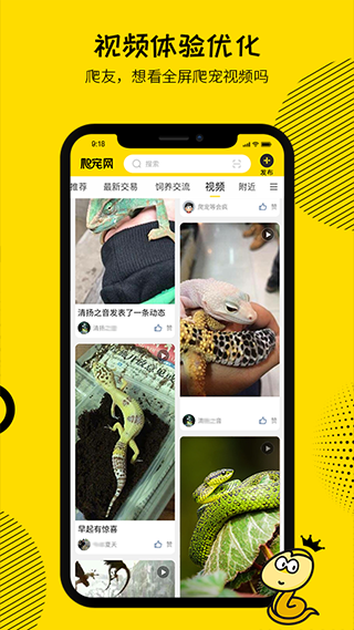 
爬宠网