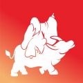无为股道app