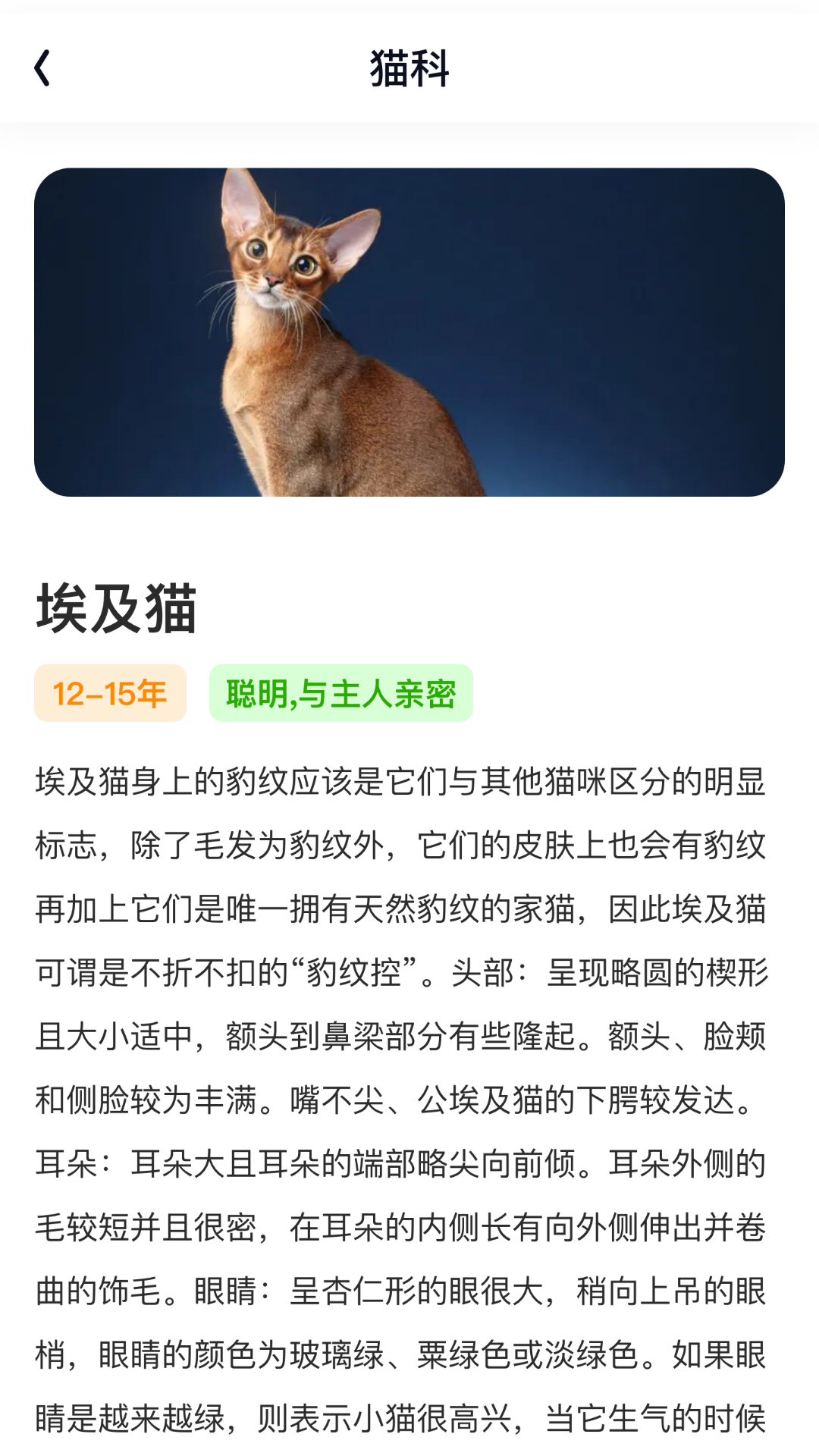 
轻赏聚看app