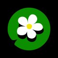 囱彩色彩