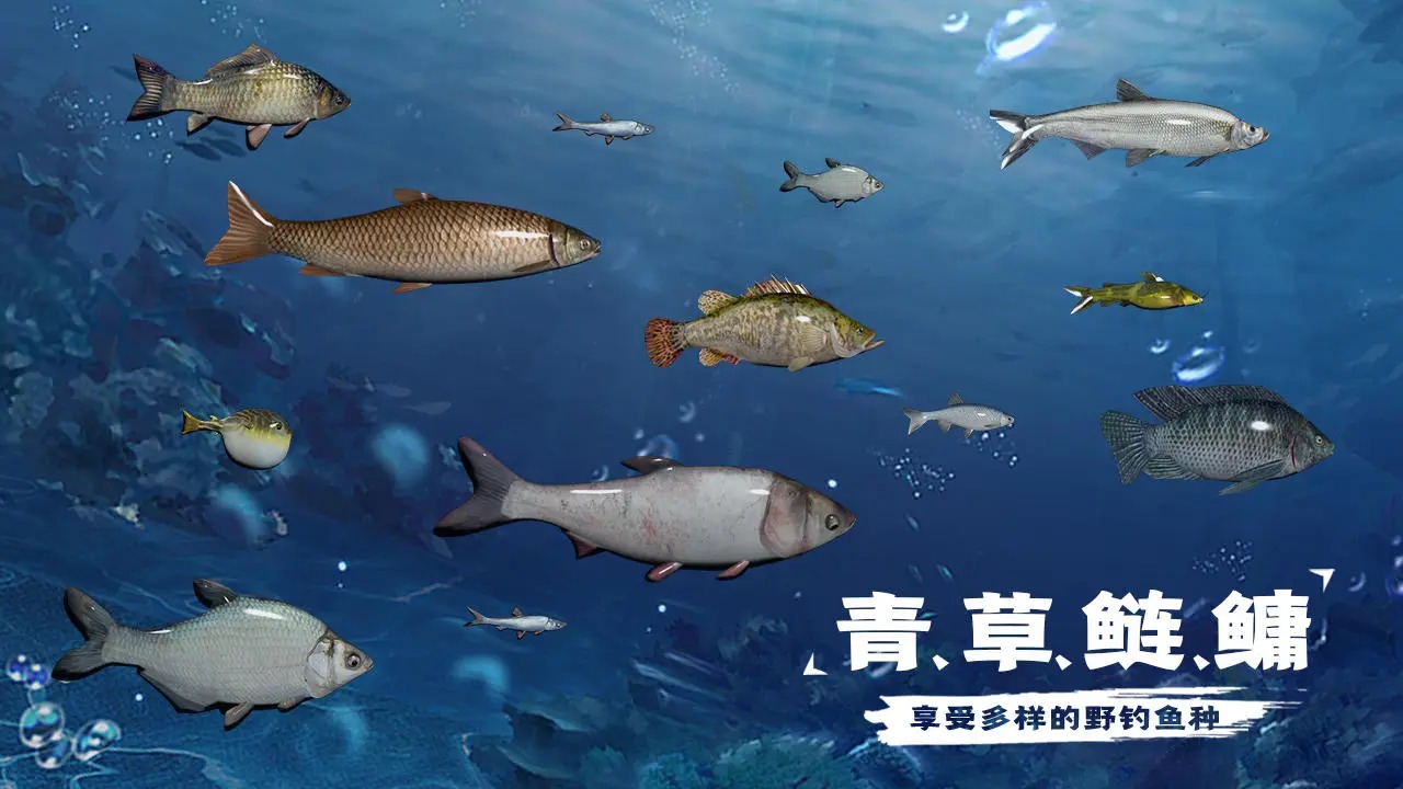 
天天钓鱼 正版老旧版