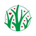 红杏林app